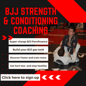 BJJ Strength & Conditioning